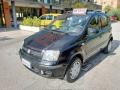 usato FIAT Panda