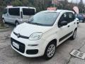usato FIAT Panda