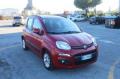 usato FIAT Panda