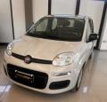 usato FIAT Panda