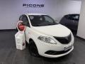 usato LANCIA Ypsilon