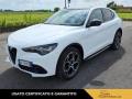 usato ALFA ROMEO Stelvio
