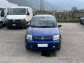 usato FIAT Panda