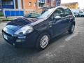 usato FIAT Punto