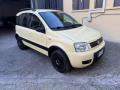 usato FIAT Panda
