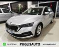 usato SKODA Octavia