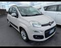 usato FIAT Panda