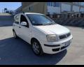 usato FIAT Panda