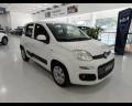 usato FIAT Panda