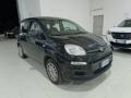 usato FIAT Panda