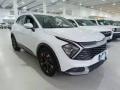 usato KIA Sportage