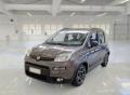 usato FIAT Panda