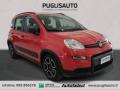 usato FIAT Panda
