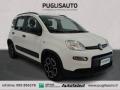 usato FIAT Panda