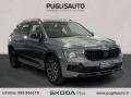 usato SKODA Kamiq