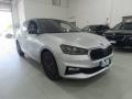 usato SKODA Fabia