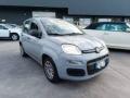 usato FIAT Panda