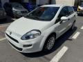 usato FIAT Punto