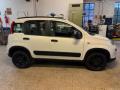usato FIAT Panda