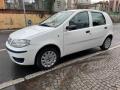 usato FIAT Punto