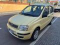usato FIAT Panda