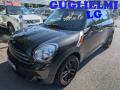 usato MINI Countryman
