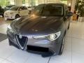 usato ALFA ROMEO Stelvio