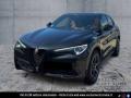 usato ALFA ROMEO Stelvio