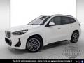 usato BMW X1