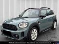 usato MINI Countryman