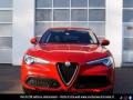 usato ALFA ROMEO Stelvio