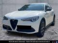 usato ALFA ROMEO Stelvio
