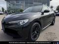 usato ALFA ROMEO Stelvio