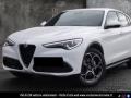 usato ALFA ROMEO Stelvio