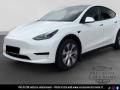 usato TESLA Model Y