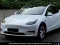 usato TESLA Model Y