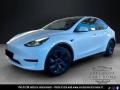 usato TESLA Model Y