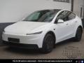 usato TESLA Model Y