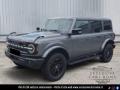 usato FORD Bronco