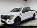 usato FORD F 150