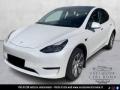 usato TESLA Model Y