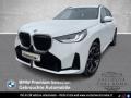 usato BMW X3