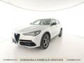 usato ALFA ROMEO Stelvio