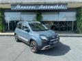 usato FIAT Panda