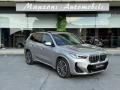 usato BMW X1