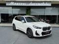 usato BMW X1