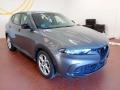 usato ALFA ROMEO Tonale