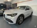 usato ALFA ROMEO Stelvio