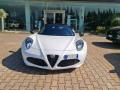 usato ALFA ROMEO 4C