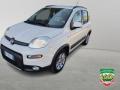usato FIAT Panda Cross
